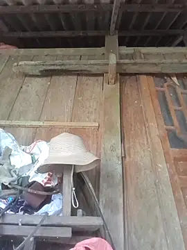 dakota-kis online show from April 11, 2026, 7:45 am