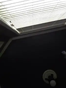 Derrick7799 online show from February 21, 2026, 8:22 pm