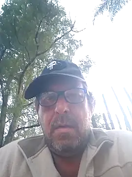 palmview2 online show from May 25, 2026, 3:11 pm