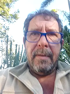 palmview2 online show from May 29, 2026, 7:03 am
