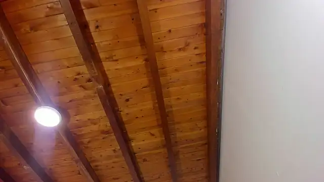 Im FelixHunter online show from April 14, 2026, 11:26 am