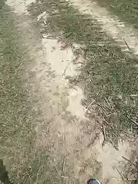 Pagelboy 089 online show from March 27, 2026, 8:22 am