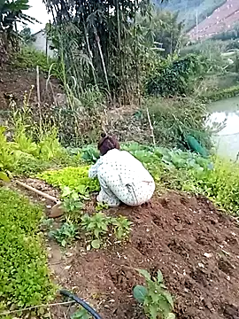 Happy sweet1 online show from January 12, 2026, 10:22 am