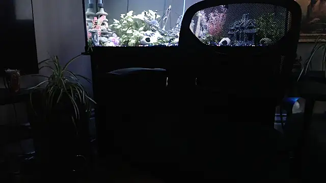 EspanolVato online show from March 21, 2026, 11:41 pm