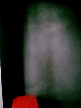 him220 online show from March 8, 2026, 1:00 am