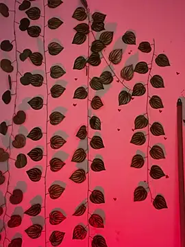 Isabella Belmont online show from February 24, 2026, 7:20 am