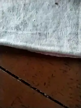 Snapshot of Danu2005dsa chatting on March 3, 2026, 5:47 am Danu2005dsa online show from March 3, 2026, 5:47 am