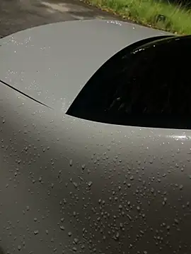 flavia337 online show from February 24, 2026, 12:44 am