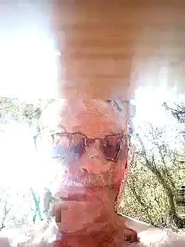 Snapshot of WildNomade chatting on June 15, 2026, 1:33 pm WildNomade online show from June 15, 2026, 1:33 pm