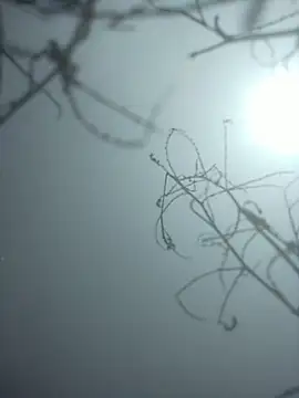 momo loves online show from January 9, 2026, 7:48 am