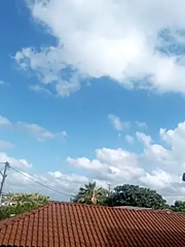     gozada---- online show from January 13, 2026, 11:03 am