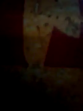 CockForPussy1508 online show from February 10, 2026, 6:45 am