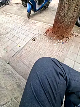 CockForPussy1508 online show from February 4, 2026, 4:40 am