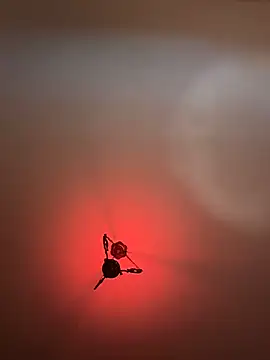 Snapshot of witchdub chatting on February 24, 2026, 2:07 pm witchdub online show from February 24, 2026, 2:07 pm