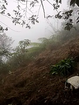 cdyyds-69 online show from January 15, 2026, 1:53 am