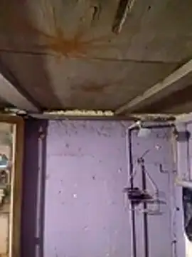 Snapshot of Guanatos13 chatting on February 2, 2026, 5:17 am Guanatos13 online show from February 2, 2026, 5:17 am