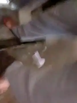 Snapshot of Guanatos13 chatting on April 2, 2026, 11:55 pm Guanatos13 online show from April 2, 2026, 11:55 pm