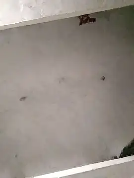 Mafiya0102 online show from January 16, 2026, 5:50 pm