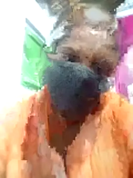 tamilvenila online show from January 15, 2026, 4:43 pm