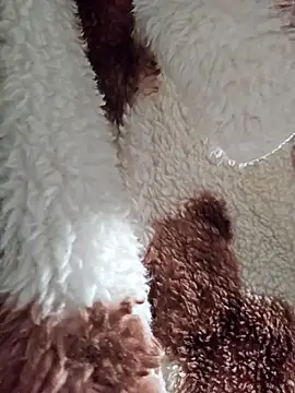 Virgin Pussy SquirtX online show from January 15, 2026, 7:34 am