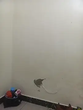 Snapshot of PatriciaVen chatting on February 6, 2026, 5:58 am PatriciaVen online show from February 6, 2026, 5:58 am