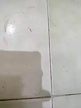 Snapshot of TamilBoy3007 chatting on February 6, 2026, 7:32 pm TamilBoy3007 online show from February 6, 2026, 7:32 pm