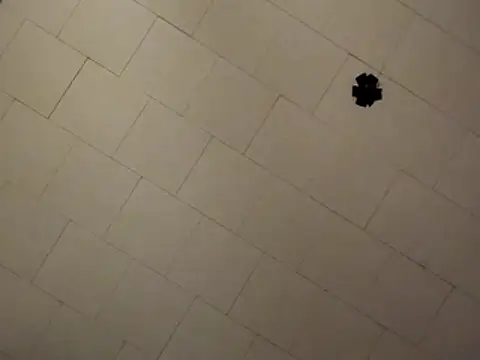 sterng6969 online show from April 9, 2026, 8:09 am