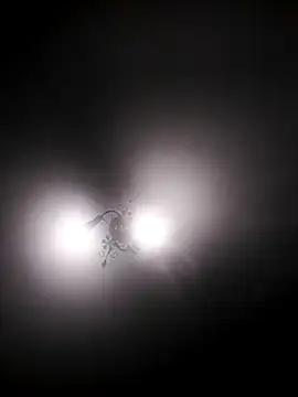 Snapshot of Koshova1836 chatting on February 22, 2026, 8:54 pm Koshova1836 online show from February 22, 2026, 8:54 pm