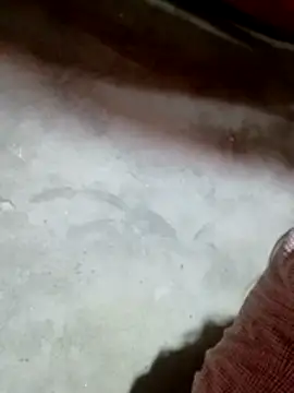 Gummiesu online show from February 18, 2026, 5:53 pm