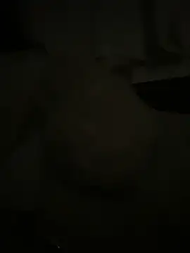 Snapshot of japosamel chatting on May 15, 2026, 11:25 pm japosamel online show from May 15, 2026, 11:25 pm