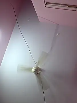 pavso1438 online show from January 17, 2026, 12:09 pm