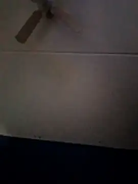 Snapshot of dewimp1 chatting on February 1, 2026, 10:13 am dewimp1 online show from February 1, 2026, 10:13 am