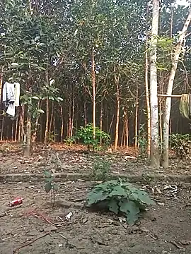 Nuna 689 online show from March 31, 2026, 9:22 am