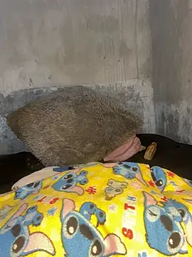 Snapshot of Iam_AlexandraRey chatting on February 15, 2026, 7:51 am Iam AlexandraRey online show from February 15, 2026, 7:51 am