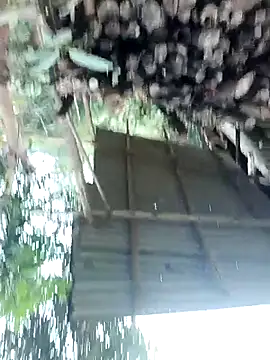 meomeo30 online show from February 11, 2026, 8:36 am