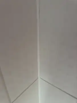 fali35 online show from February 17, 2026, 2:14 pm