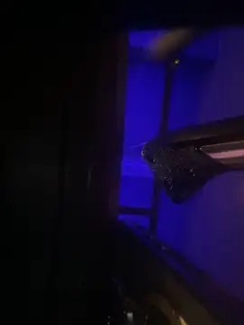 valle salvaje online show from April 11, 2026, 4:32 pm