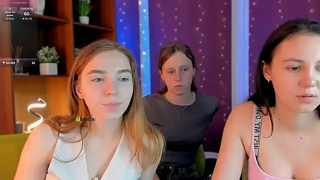 stella flower online show from February 7, 2026, 1:52 pm