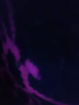 LustyDanky online show from March 22, 2026, 5:25 pm