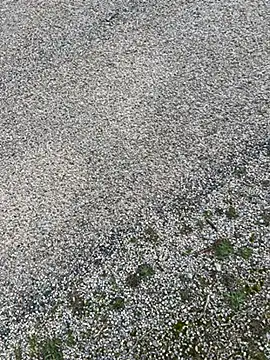 Snapshot of magicdickx21 chatting on February 20, 2026, 2:08 pm magicdickx21 online show from February 20, 2026, 2:08 pm