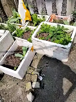 Snapshot of Queen-love45 chatting on March 1, 2026, 3:39 am Queen-love45 online show from March 1, 2026, 3:39 am