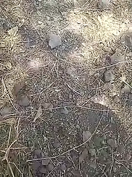 Cute Boy 4 online show from March 15, 2026, 8:10 am