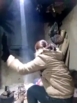 Snapshot of maimai1100 chatting on February 3, 2026, 12:43 am maimai1100 online show from February 3, 2026, 12:43 am