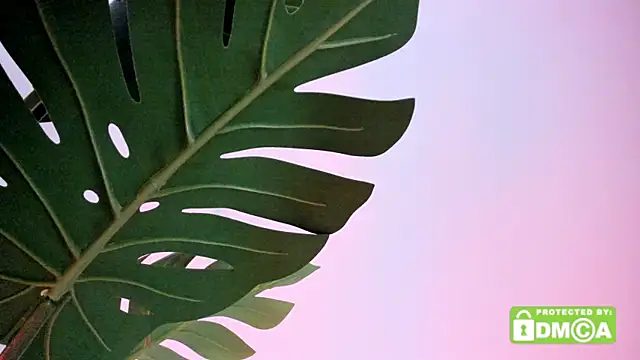 lovesweetash online show from April 13, 2026, 2:21 pm