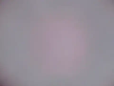 Snapshot of Luanatrav1 chatting on February 21, 2026, 7:32 am Luanatrav1 online show from February 21, 2026, 7:32 am