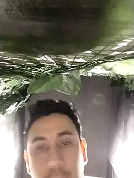 rejypool online show from April 17, 2026, 12:46 am