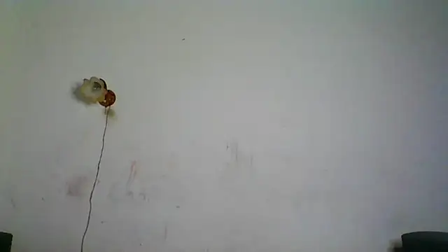 Snapshot of NickiKisinger chatting on February 7, 2026, 5:26 am NickiKisinger online show from February 7, 2026, 5:26 am