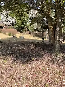 K0U-123 online show from April 3, 2026, 12:39 am