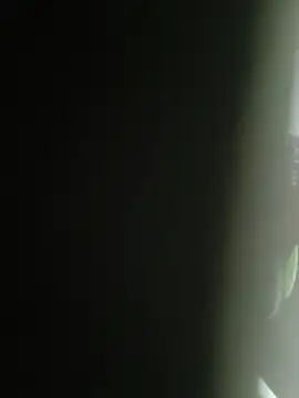 Snapshot of Gordinho_dos_pes chatting on February 25, 2026, 2:12 am Gordinho dos pes online show from February 25, 2026, 2:12 am