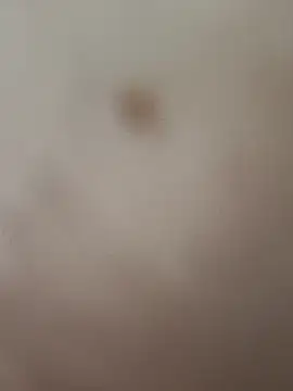 Snapshot of elvergon8721 chatting on February 20, 2026, 5:26 am elvergon8721 online show from February 20, 2026, 5:26 am